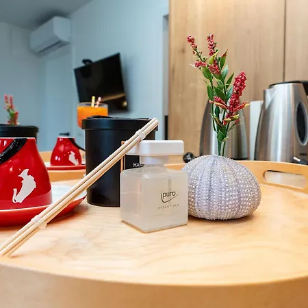 Dioniz Luxury 1 Apartament